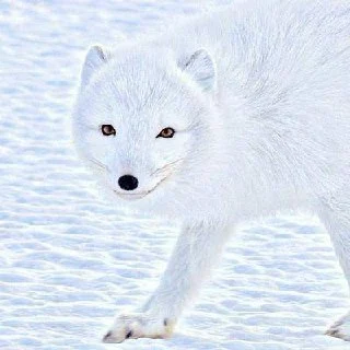 @s3v3ru5